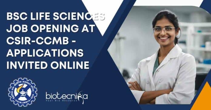 BSc Life Sciences Job Opening at CSIR-CCMB - Applications Invited Online