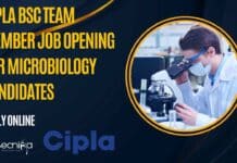 Cipla BSc Team Member Job Opening