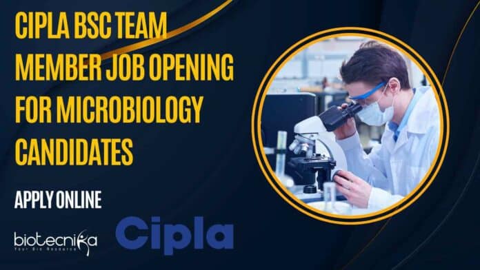 Cipla BSc Team Member Job Opening