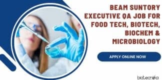 Beam Suntory Executive QA Job