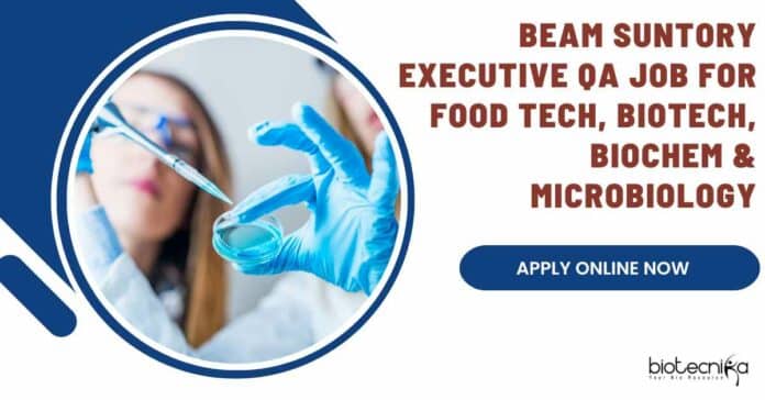 Beam Suntory Executive QA Job