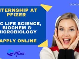 Pfizer Internship Opportunity