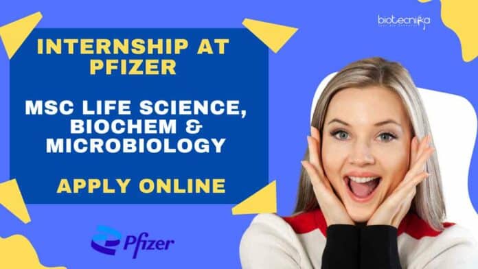 Pfizer Internship Opportunity