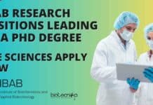 IBAB Research Positions Leading