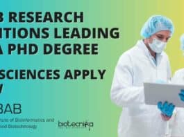 IBAB Research Positions Leading