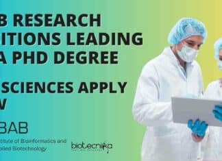 IBAB Research Positions Leading