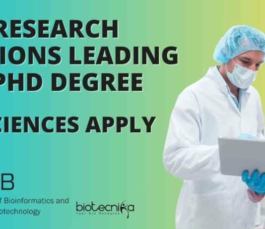 IBAB Research Positions Leading