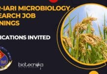 ICAR-IARI Microbiology Research Job