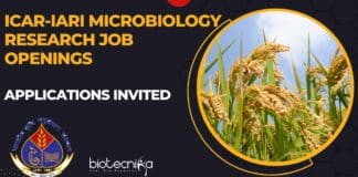 ICAR-IARI Microbiology Research Job