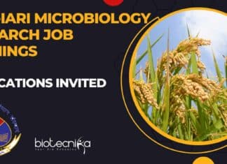 ICAR-IARI Microbiology Research Job Openings – Applications Invited ICAR-IARI Microbiology Research Job