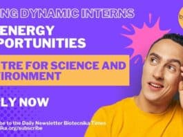 Bioenergy Internship at Centre