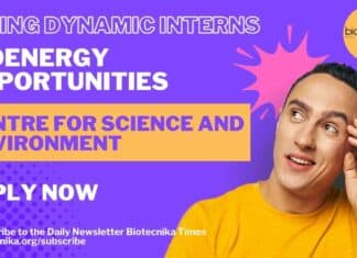 Bioenergy Internship at Centre