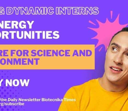 Bioenergy Internship at Centre