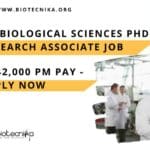 JNCASR Biological Sciences PhD Research Associate Job With Rs. 42,000 pm Pay – Apply Now JNCASR Biological Sciences PhD