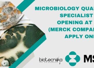 Microbiology Quality Specialist Job Opening at MSD (Merck Company) – Apply Online Microbiology Quality Specialist Job