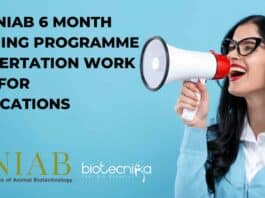 NIAB Dissertation Work 2024