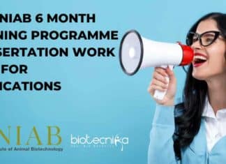 2024 NIAB 6 Month Training Programme / Dissertation Work Call For Applications NIAB Dissertation Work 2024