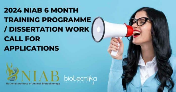 NIAB Dissertation Work 2024