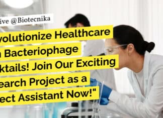 VIT Vellore BSc Biological & Life Sciences Project Assistant Job – Apply Now VIT Vellore BSc Biological & Life Sciences Project Assistant Job - Apply Now