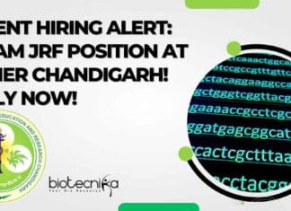 PGIMER Genetics JRF Job