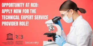 RCB Technical Expert Job