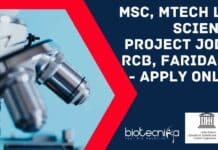 RCB Faridabad Project Job