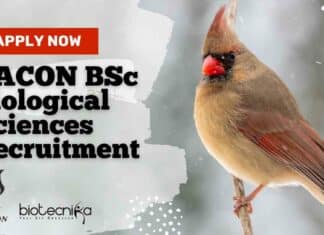 SACON BSc Biological Sciences Recruitment – Apply Now SACON BSc Biological Sciences Recruitment