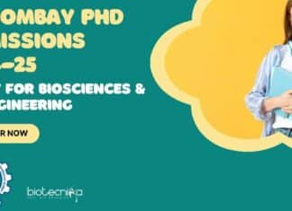 IIT Bombay PhD Admissions 2024-25