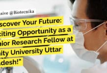 "Discover Your Future: Exciting Opportunity as a Junior Research Fellow at Amity University Uttar Pradesh!"