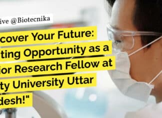 "Discover Your Future: Exciting Opportunity as a Junior Research Fellow at Amity University Uttar Pradesh!"