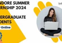 IIT Indore Summer Internship 2024