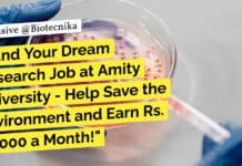 "Land Your Dream Research Job at Amity University - Help Save the Environment and Earn Rs. 30,000 a Month!"