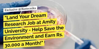 "Land Your Dream Research Job at Amity University - Help Save the Environment and Earn Rs. 30,000 a Month!"