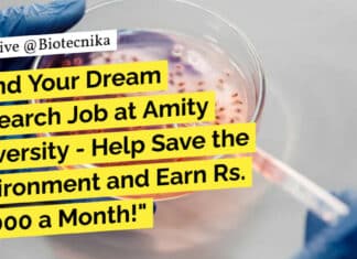 "Land Your Dream Research Job at Amity University - Help Save the Environment and Earn Rs. 30,000 a Month!"