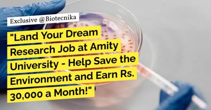 "Land Your Dream Research Job at Amity University - Help Save the Environment and Earn Rs. 30,000 a Month!"
