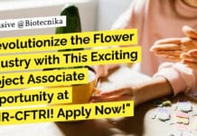 CFTRI Food Science Job Opening - Apply Now For Project Post