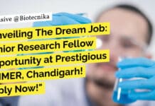 PGIMER Genetics, Genomics, Bioinformatics SRF Job Opening - Apply Now