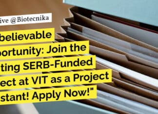 VIT Vellore Mol Bio Project Assistant Job Opening - Apply Online