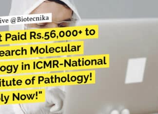 ICMR-NIP Non-Med Project Research Scientist Job With Rs. 56,000 pm Pay, Apply Online