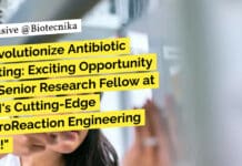 IIT Hyderabad Biotech SRF Job For BTech & MTech Apply