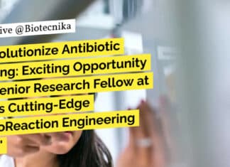 IIT Hyderabad Biotech SRF Job For BTech & MTech Apply