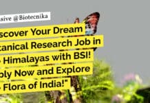 Government Botany Job Openings - Apply @ Botanical Survey of India
