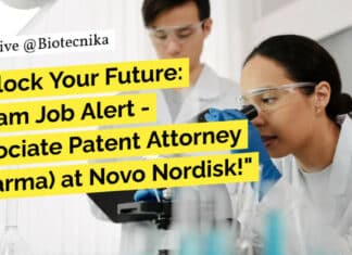 Novo Nordisk Associate Patent Attorney Job Opening - Apply Online
