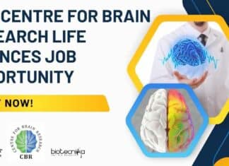 IISc-Centre for Brain Research Life Sciences Job Opportunity – Apply Now! IISc-CBR Life Sciences Research Jobs - Apply Now