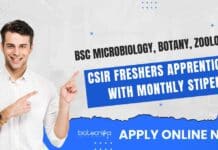 CSIR Freshers Apprentice With Monthly Stipend