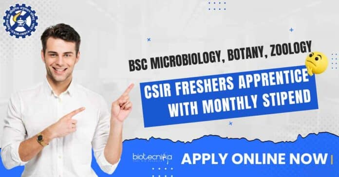 CSIR Freshers Apprentice With Monthly Stipend