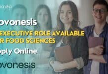 Novonesis Jr Executive Role