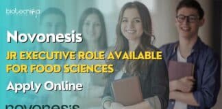 Novonesis Jr Executive Role