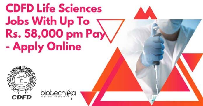 CDFD Research Vacancies 2024