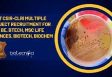 CSIR-CLRI Research Positions
